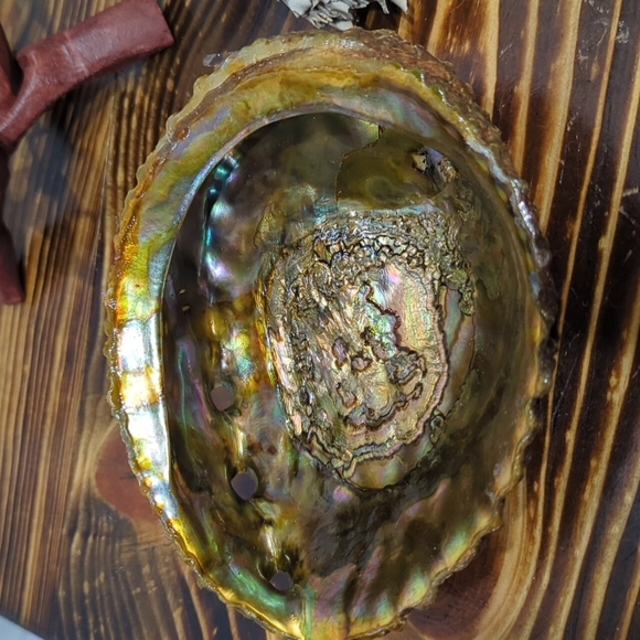 Handcrafted Sage and Polo Santo Smudge Kit w/ Wood Stand and Feathers. - Picture 3 of 3